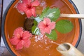 Angsana SPA