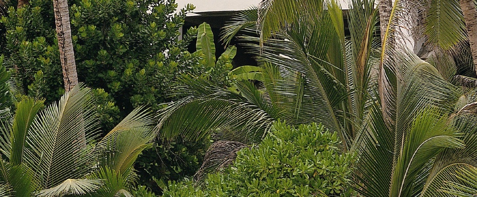 Ocean View Pool Villa
