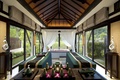 BANYAN TREE