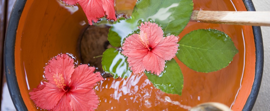 Angsana SPA