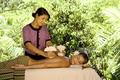 BANYAN TREE SPA